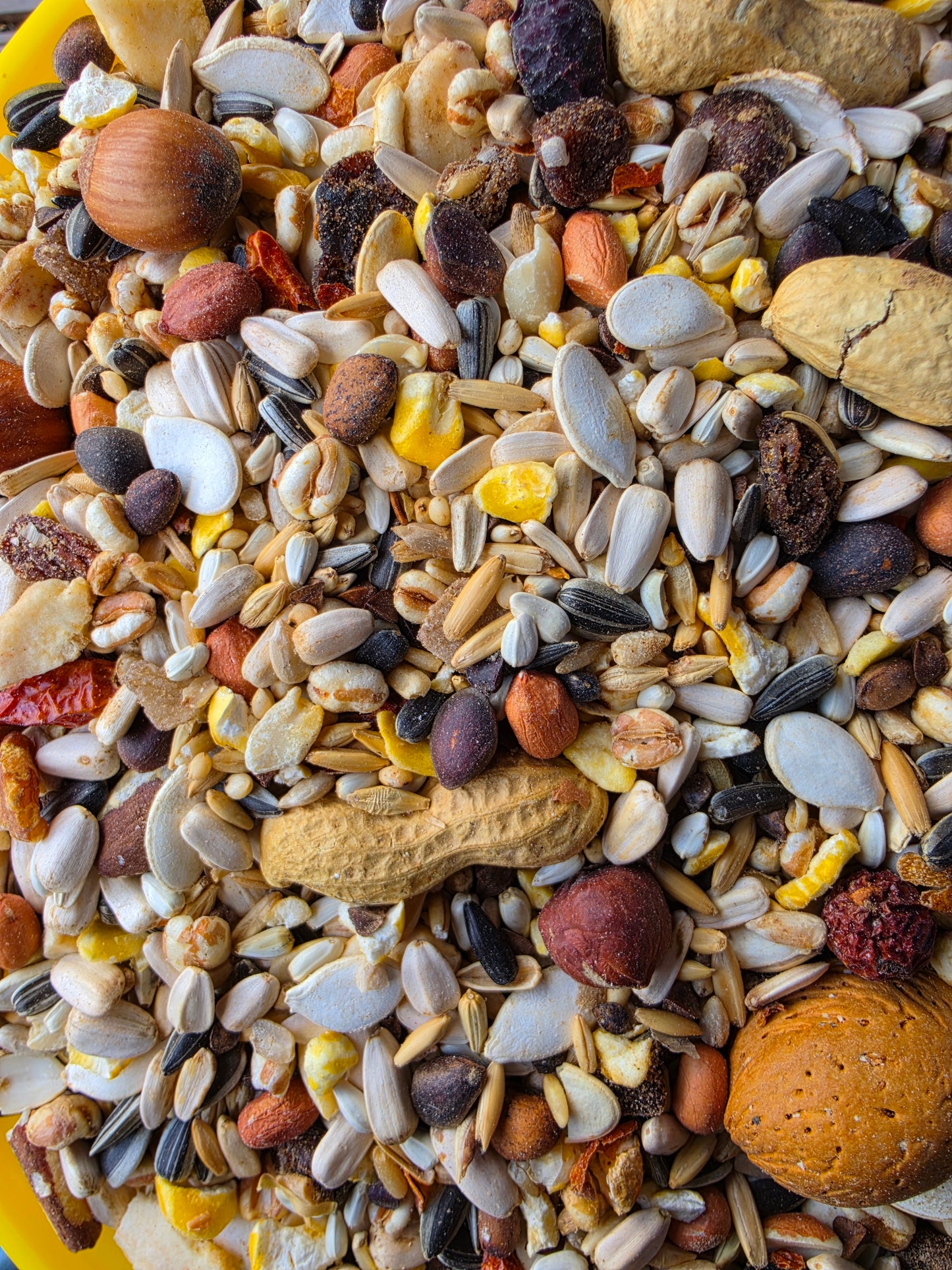 Deli Nature 26 Exquisit Nut 15kg