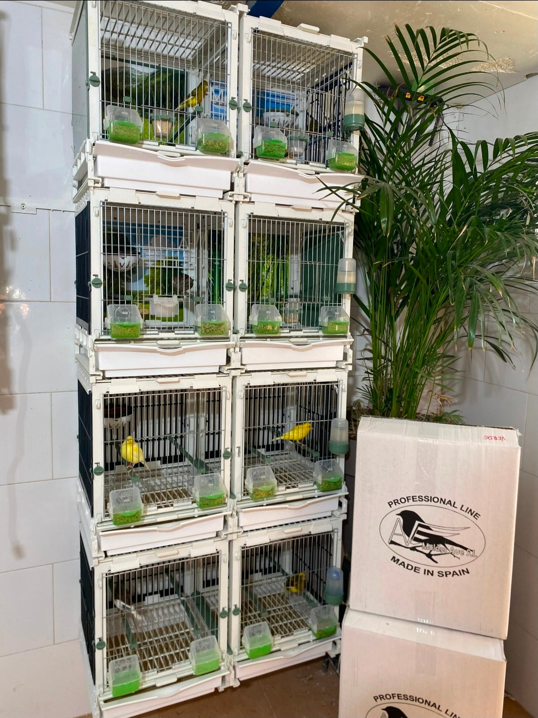 Model SG2, kooimodule 70cm - MA Kooi Moldes Ave