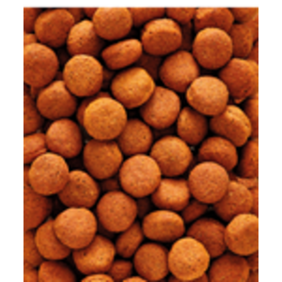 Nutribird H16 Neushoornvogel 10kg