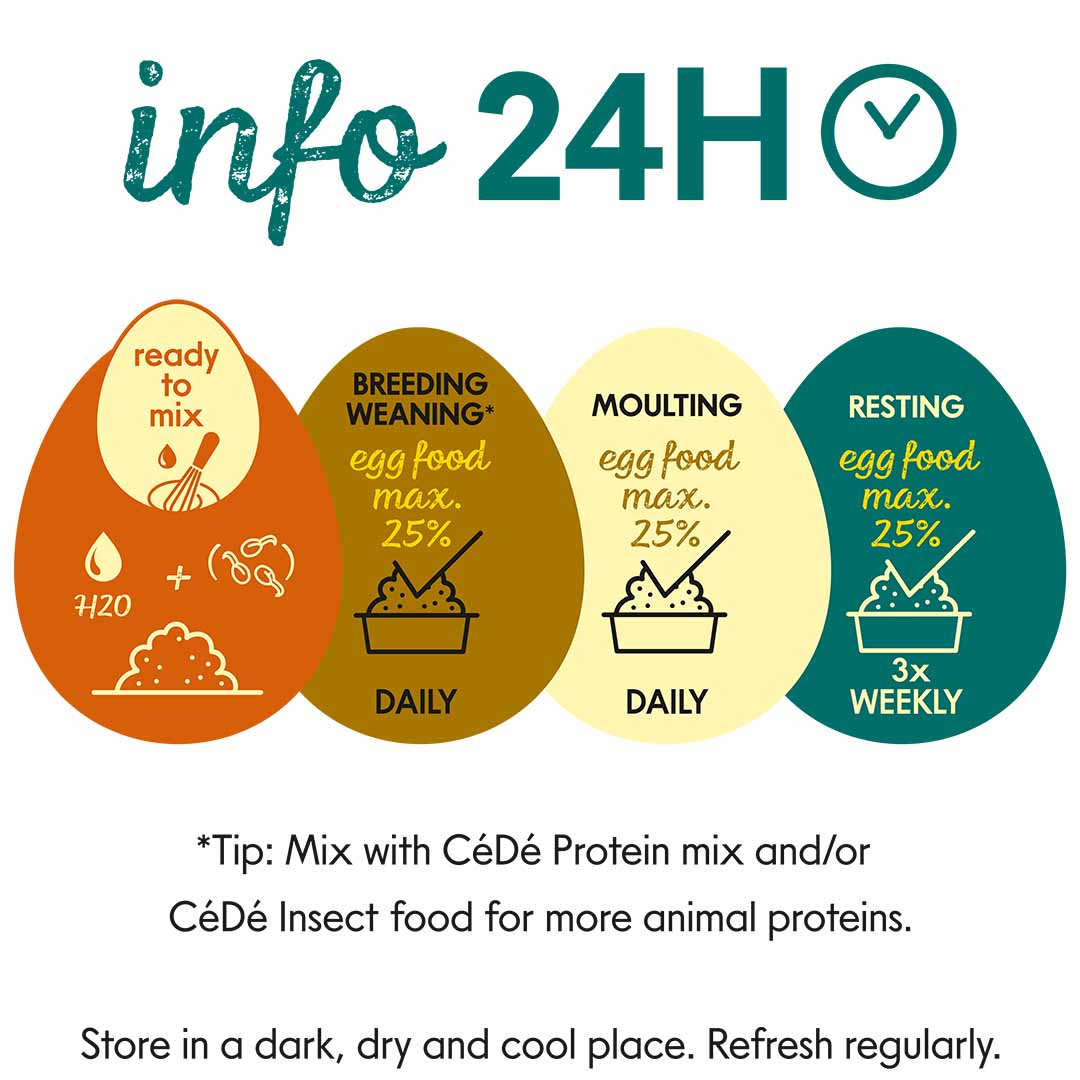 CéDé eivoer grote parkiet ( ook agaporniden ) & papegaai 1kg