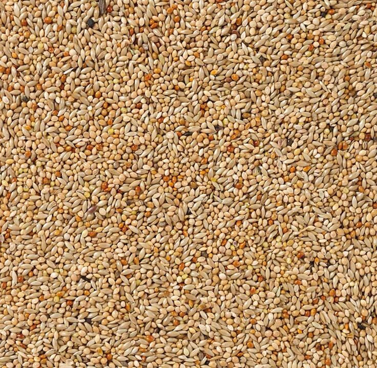 Exotische vogels standaard - 5kg uitgepond - vogelvoer