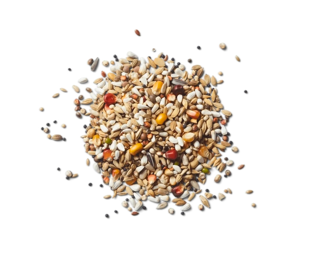 Green Power Balance 20kg Natural