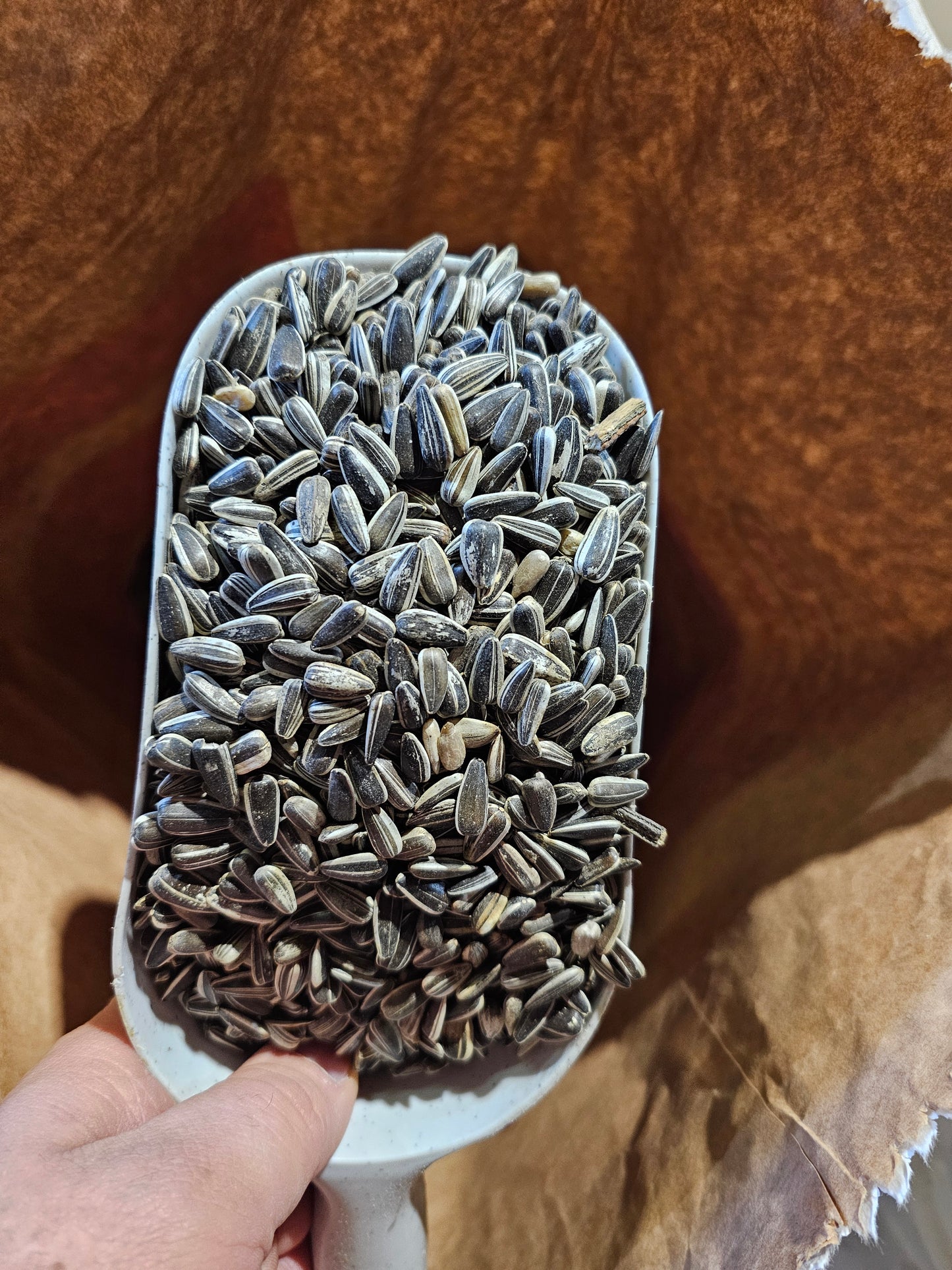 Gestreepte zonnebloempitten 12.50kg Versele Laga