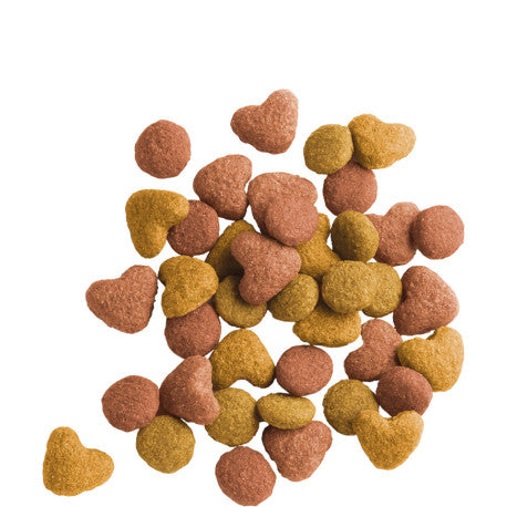 Lara Senior + 7jaar 2kg