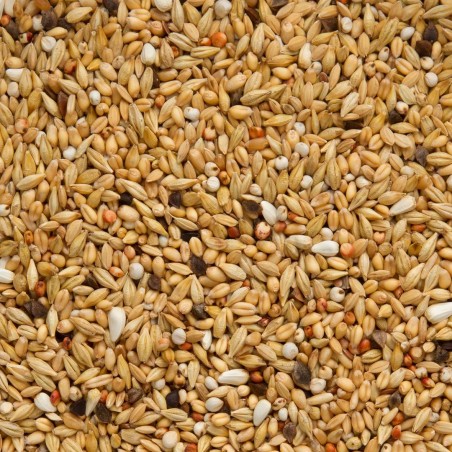 Superzuiverend 25kg - Beyers