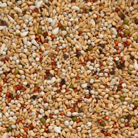 Superdieet 25kg - Beyers