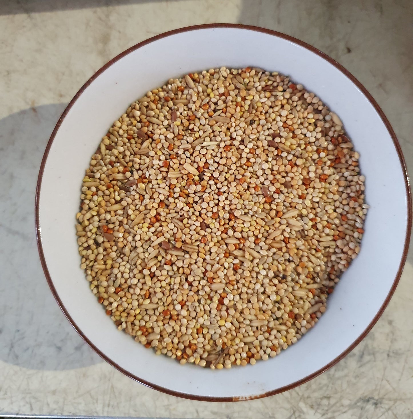 Grasparkieten Mengelings Bird-X 20kg