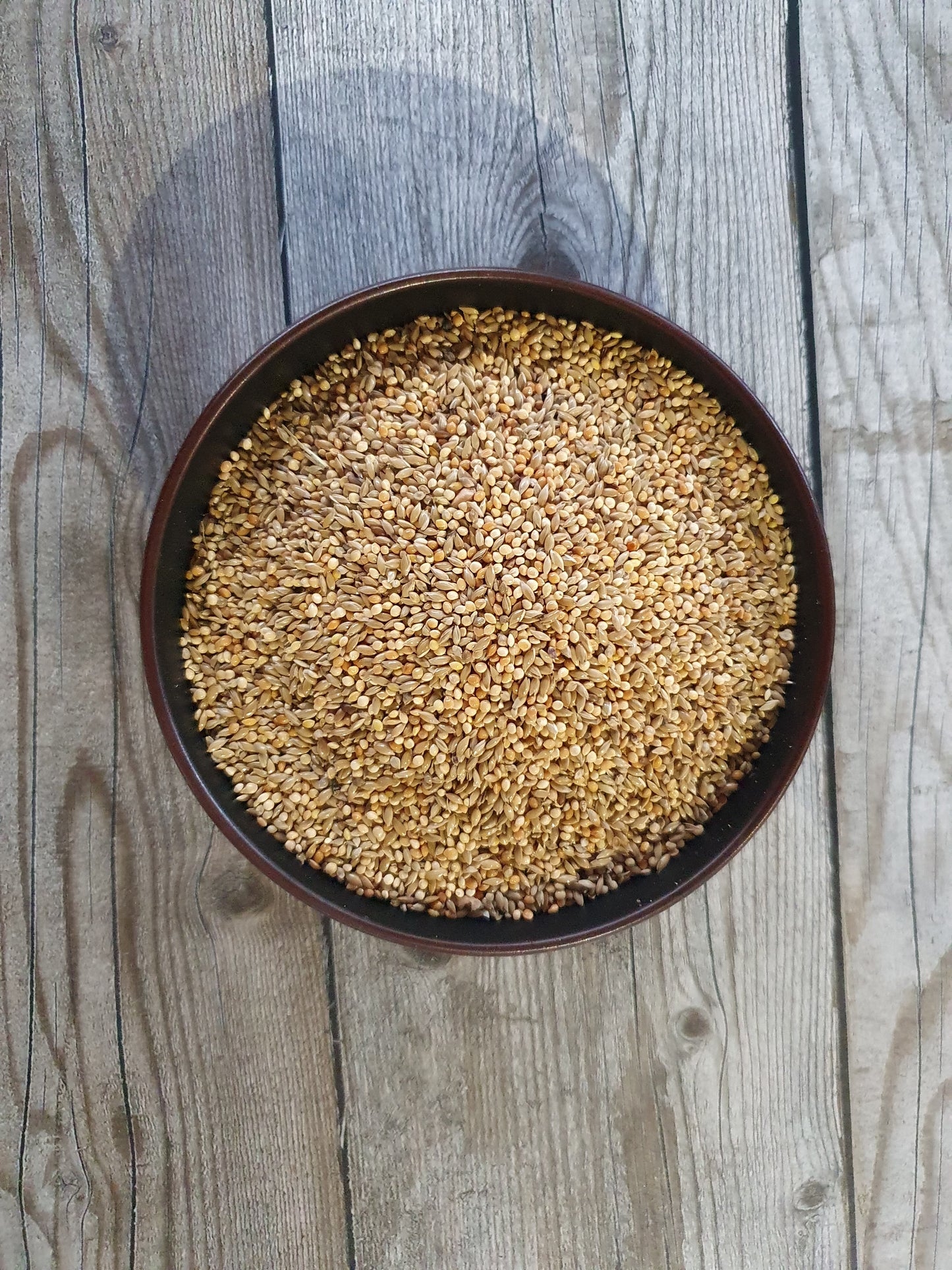 Exoten Michotte Goulds 1kg