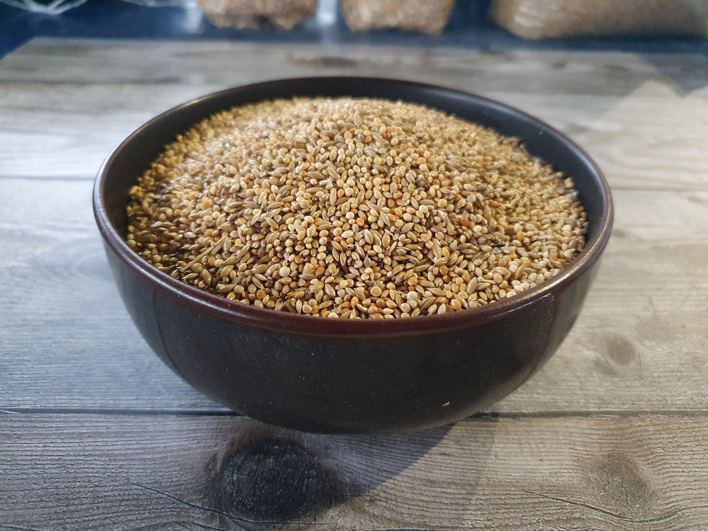 Exoten Michotte Goulds 25kg