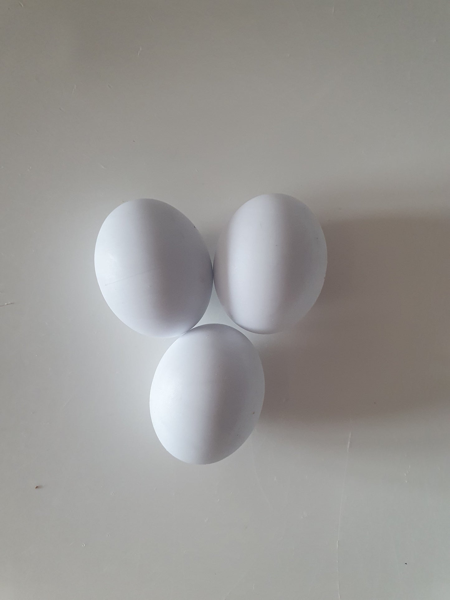 Grote parkieten kunststof ei 3cm