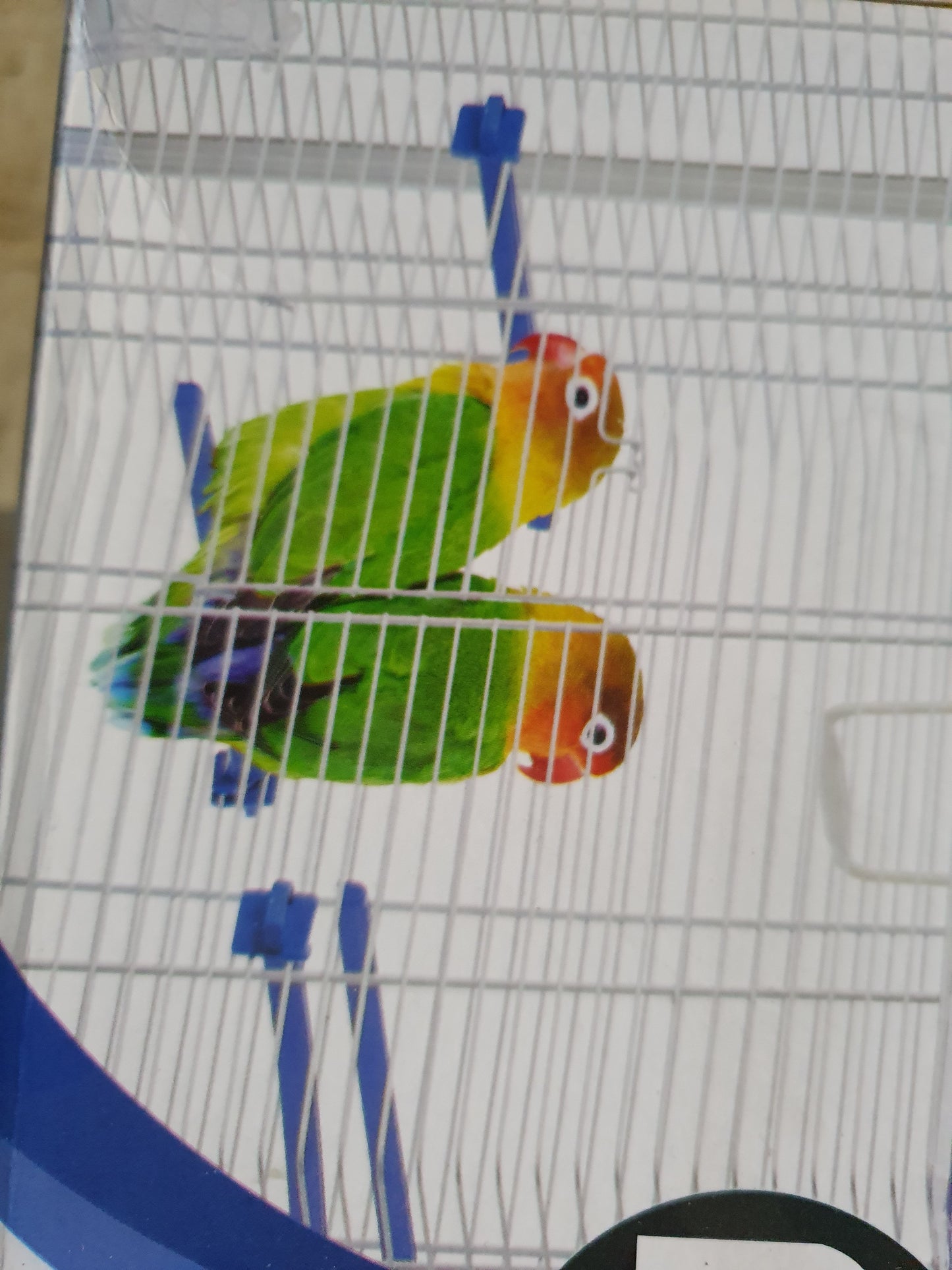 Bird Cage Anita 53 x 32 x 59