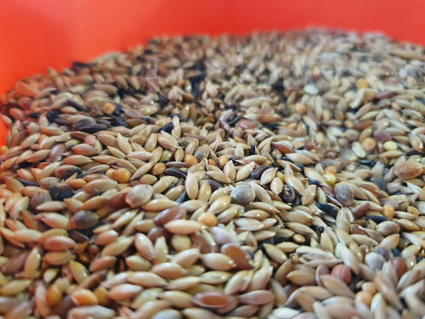 Premium Postuur Kanariemix Zonder Raapzaad 20kg - Easyyem