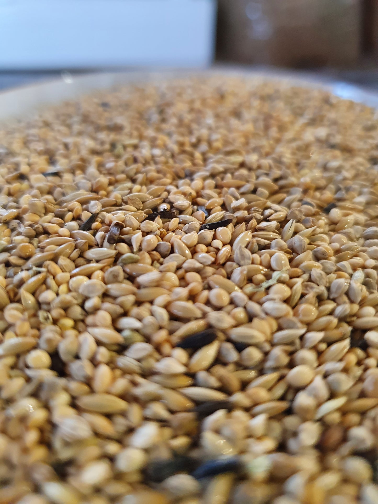 Deli Nature 42 Zebravink Supréme 5kg ( zelf ingepakt )