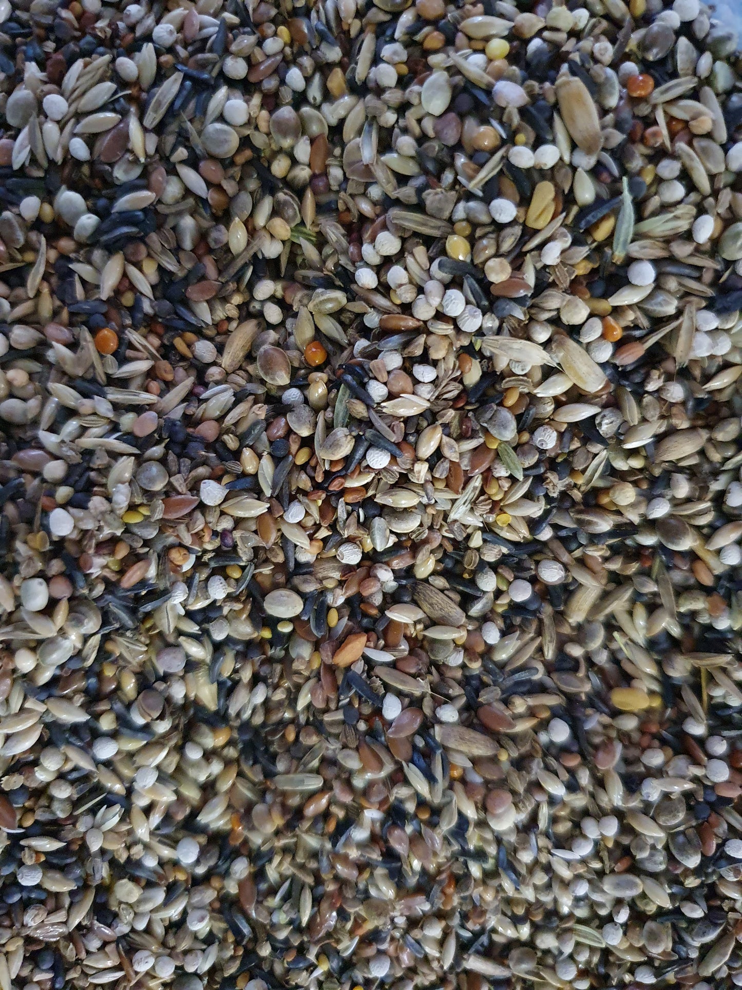 Sijzen en Distelvinken Mix 15kg - Vadigran