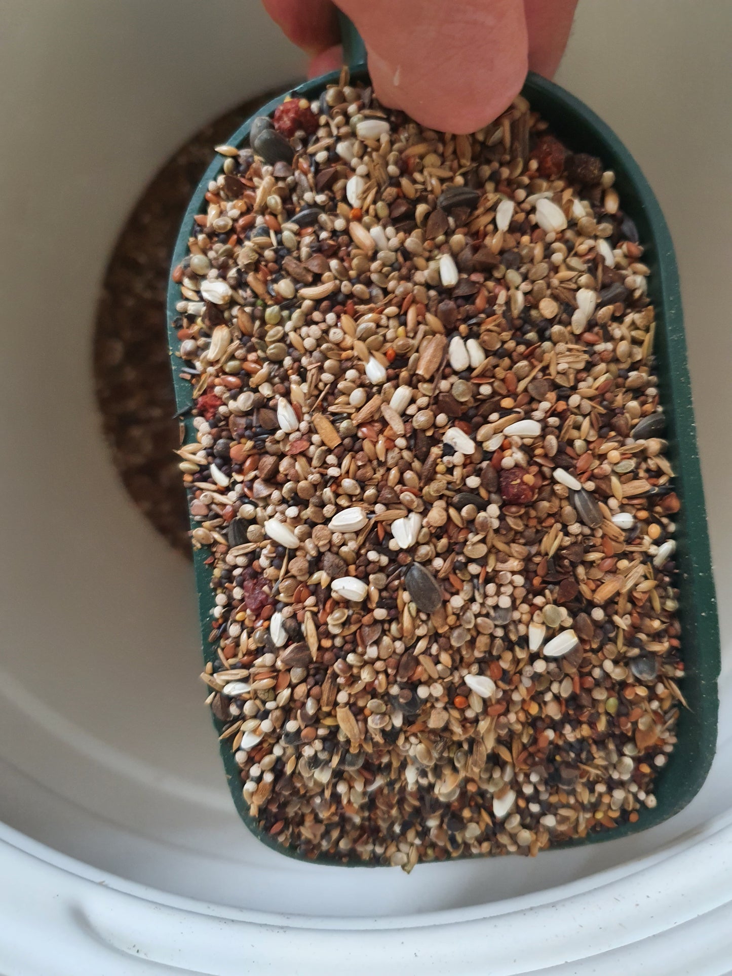 Goudvinken Oom Freddy 15kg - Hobbyfarm Hoebregts