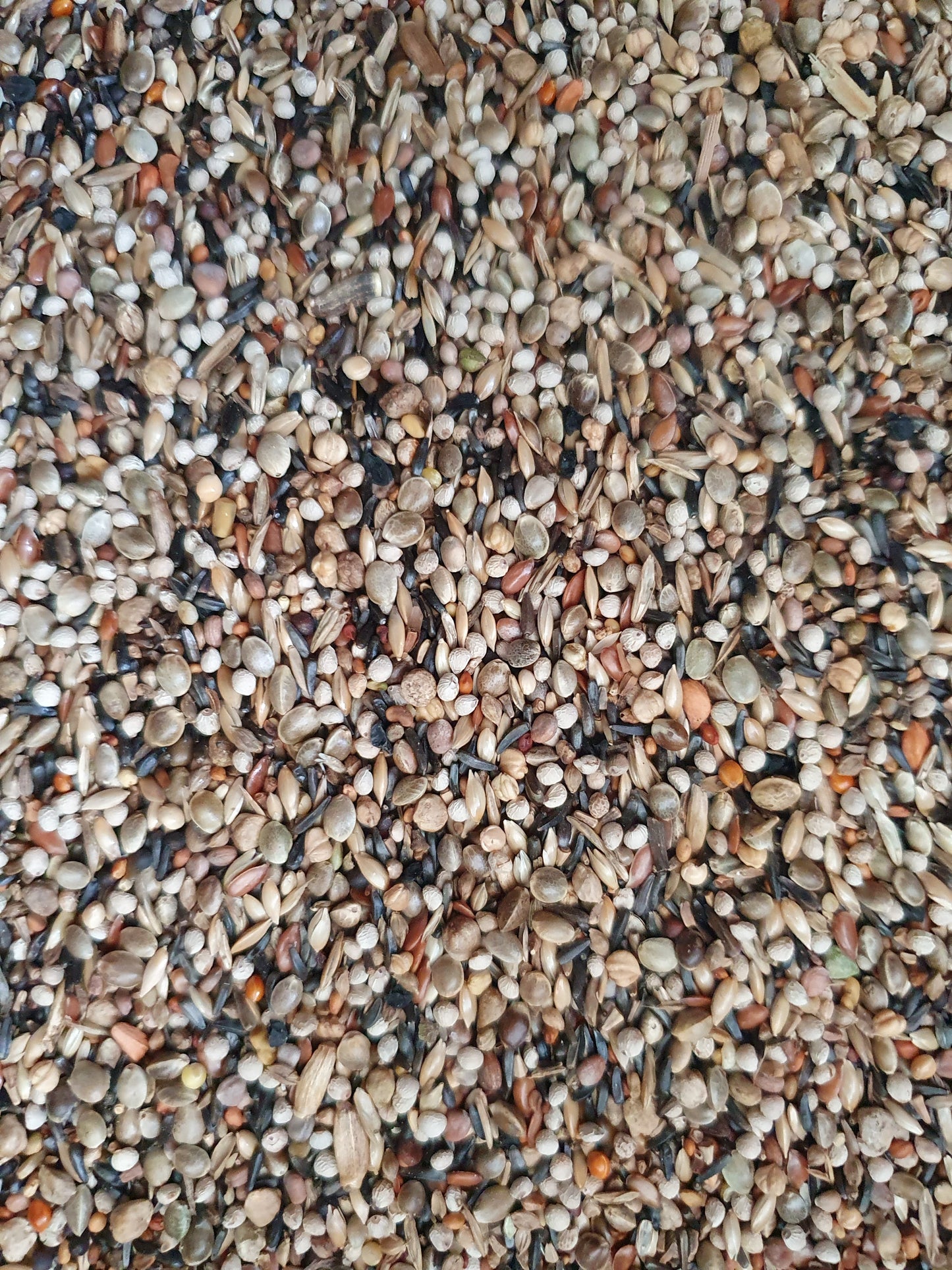 Liessens Distelvink 20kg - Hobbyfarm Hoebregts