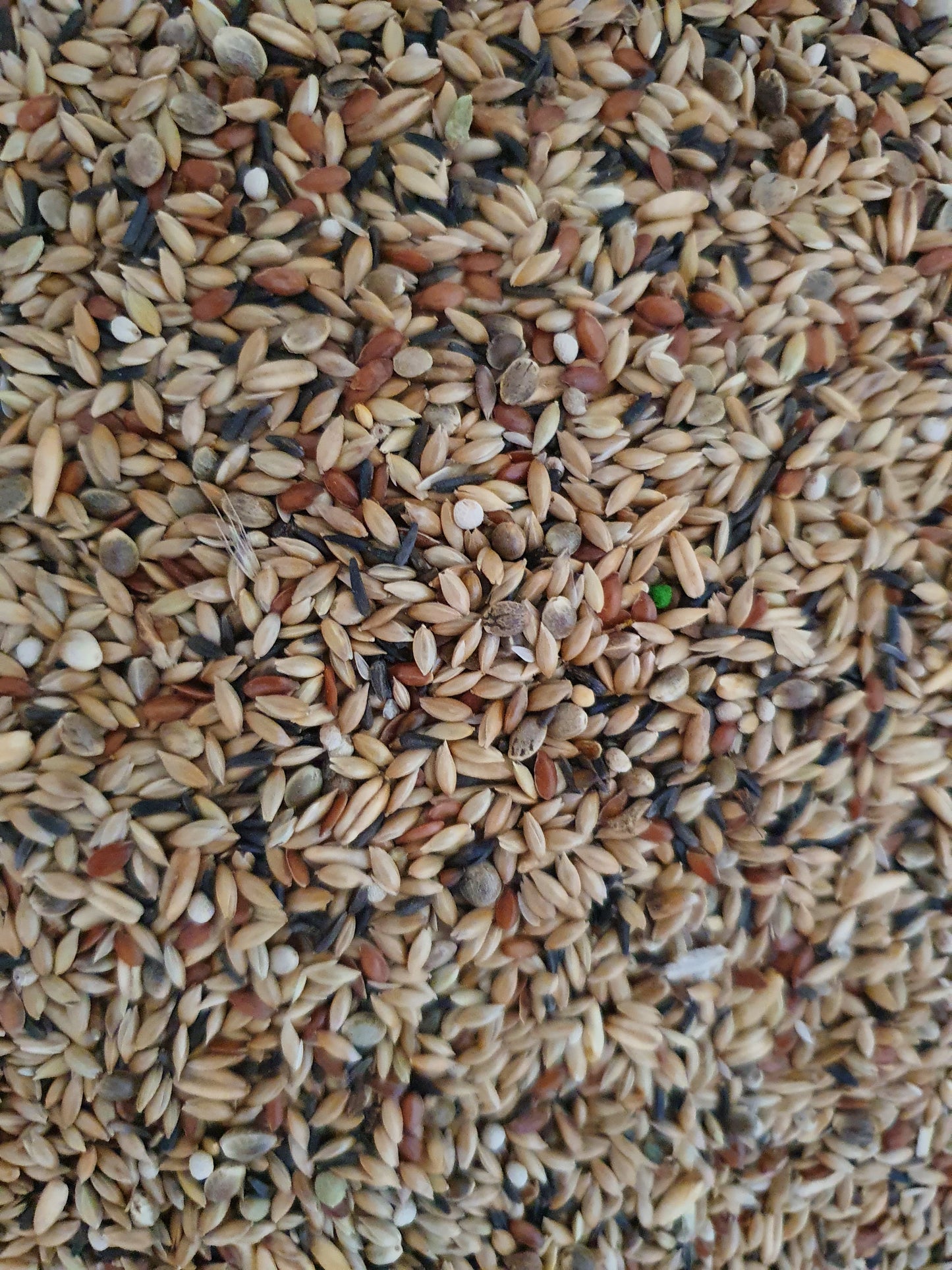 Kanarie Supréme Met Witte Perilla - Zak 20kg - Vogelvoer