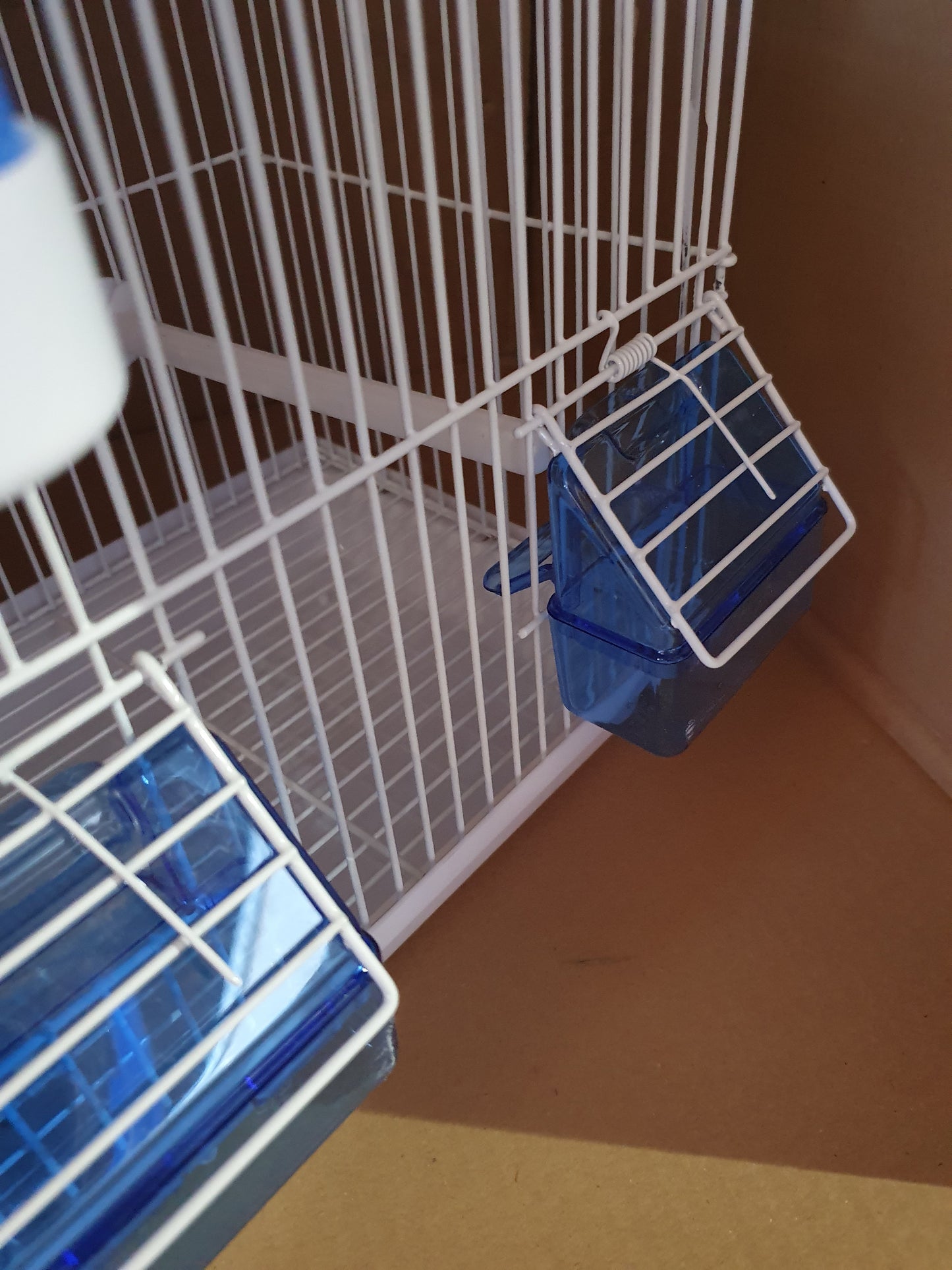 Transport / Zang Kooi Blauw