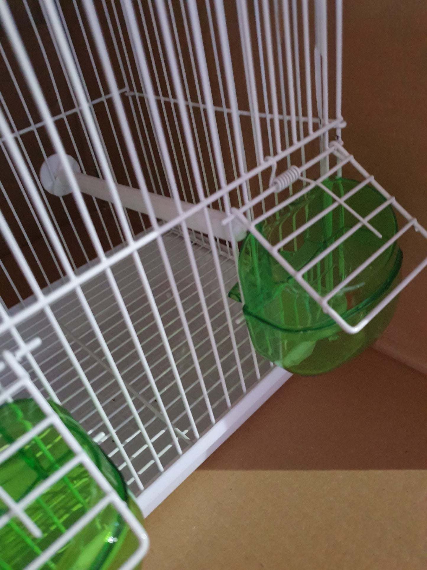 Transport / Zang Kooi Groen