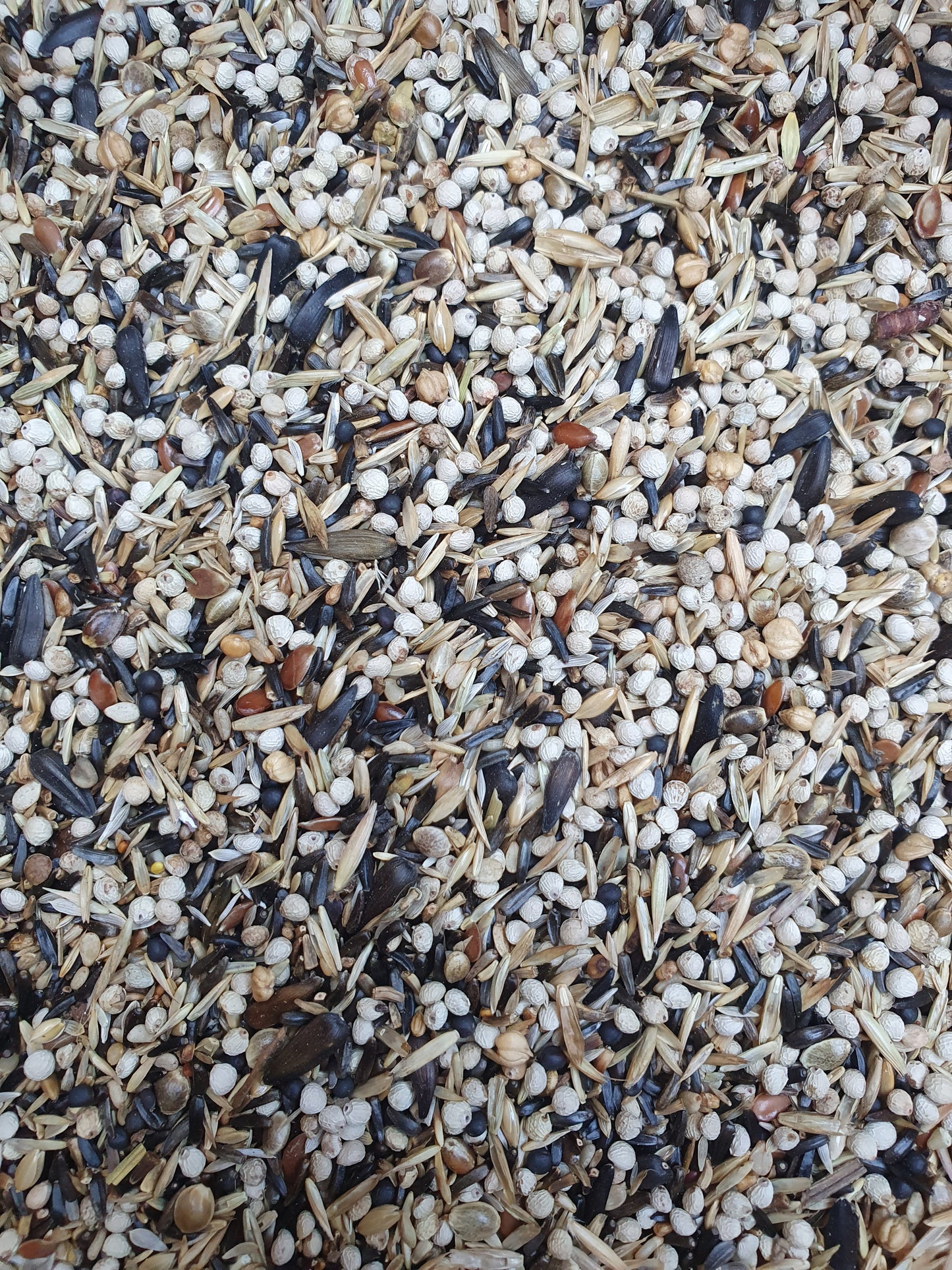 Europese en Amerikaanse Sijzen 1kg - Hobbyfarm Hoebregts 219