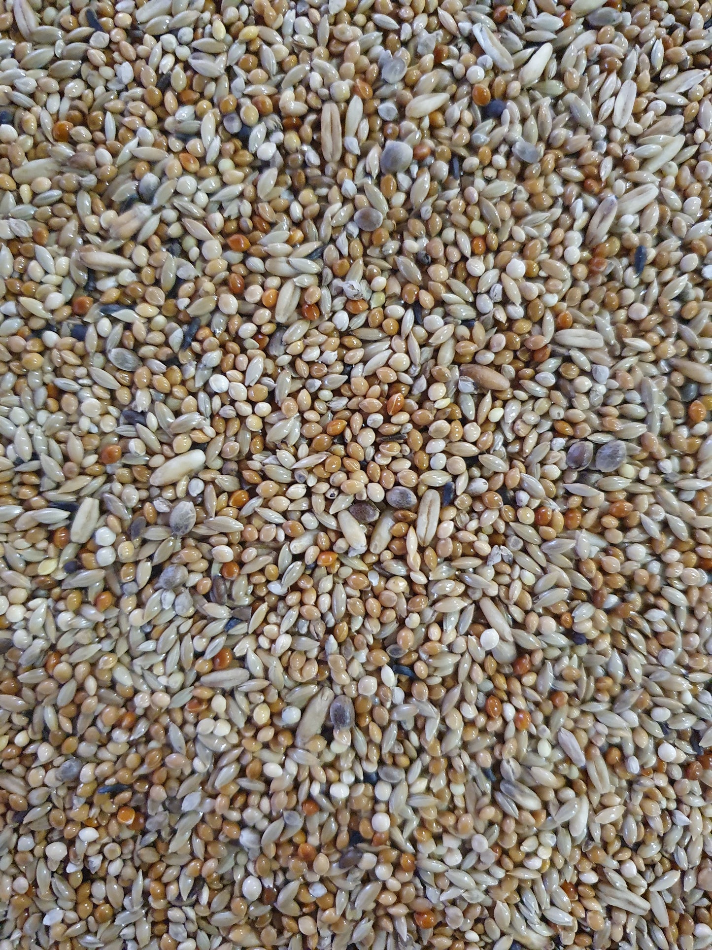 Deli Nature 66 Parkieten Super 20kg