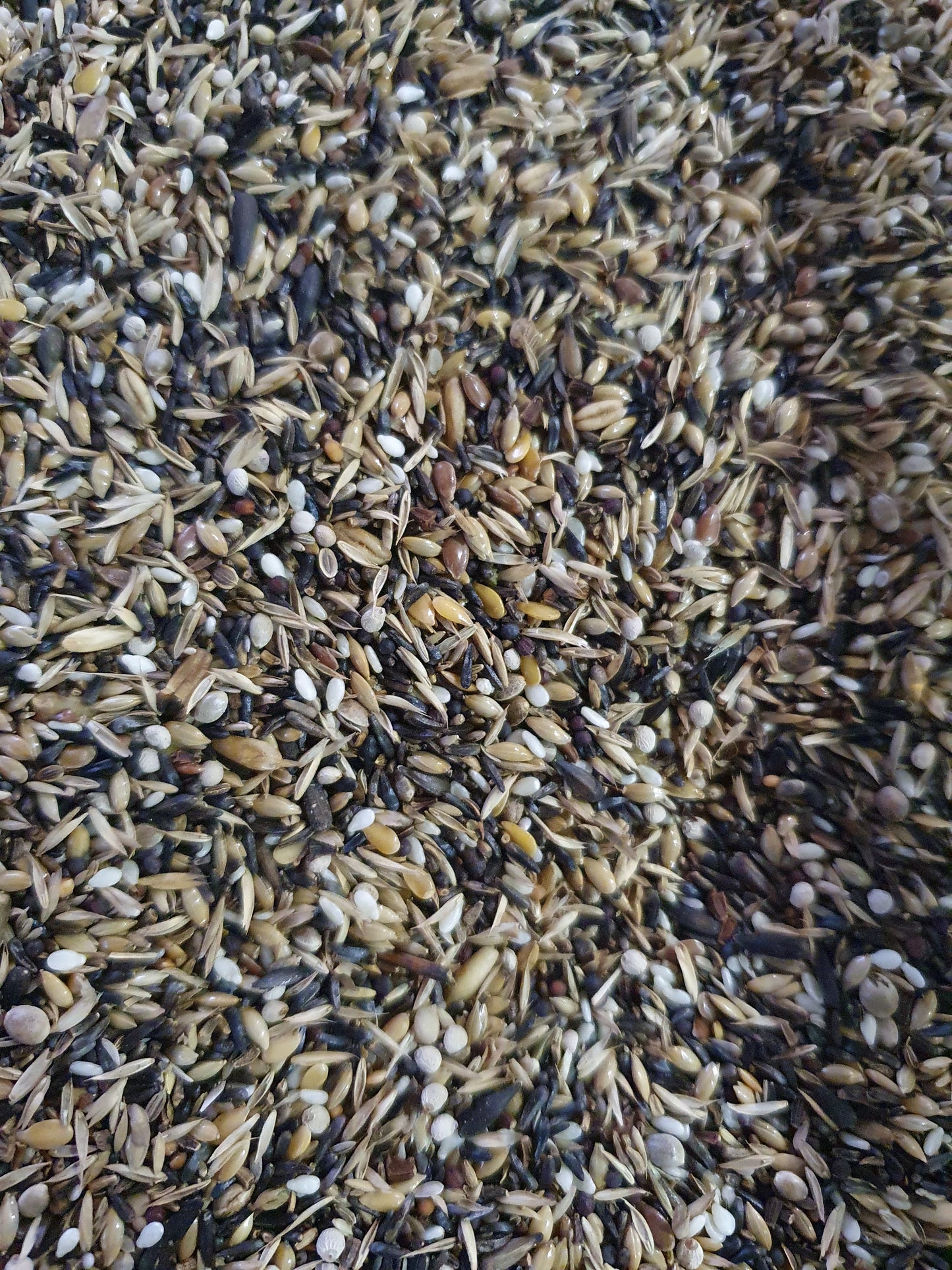 Prestige Blattner Distelvink 15kg - Versele Laga