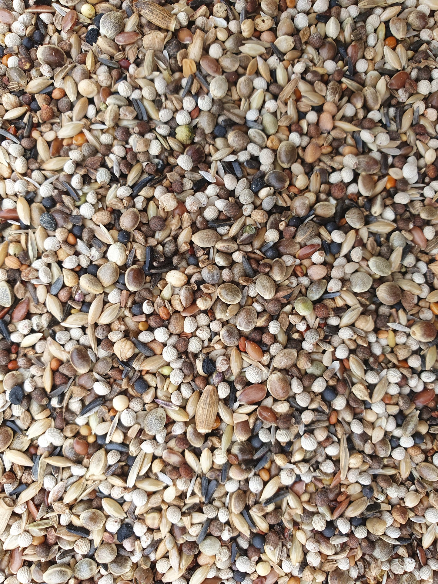 Super RE Distelvinken 1kg - Hobbyfarm Hoebregts