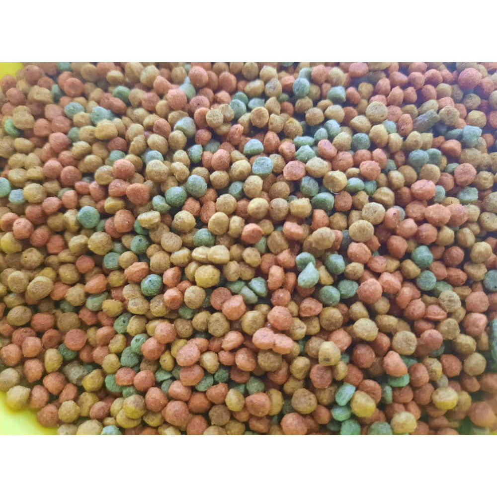 Daily Feed Parrots Mini ( fruit mix ) 4kg - Unica & Meeks