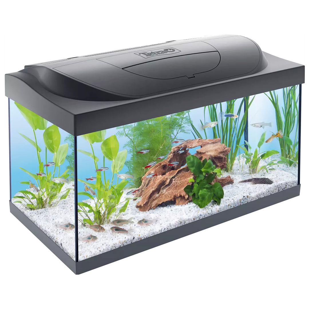 Tetra aquarium starter line led 54 l zwart