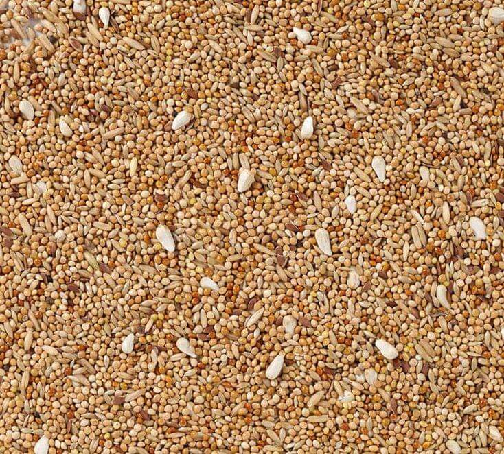 Deli Nature 36 ( Gras ) Parkiet Extra Met Cardy 20kg