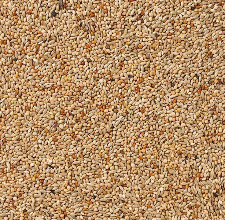 Deli Nature 40 Tropische Vogels Basis 20kg