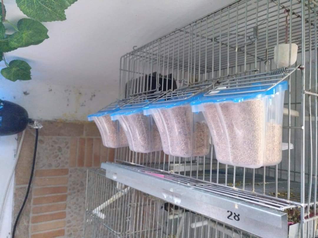 Tulipa Feeder Blauw Deksel ( met opening )