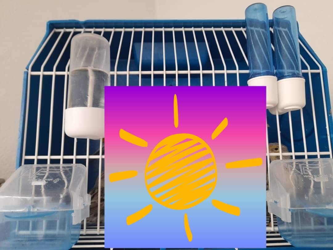 Feeder "Lucia" BLAUW met verwijderbare Lade - Moldes Ave