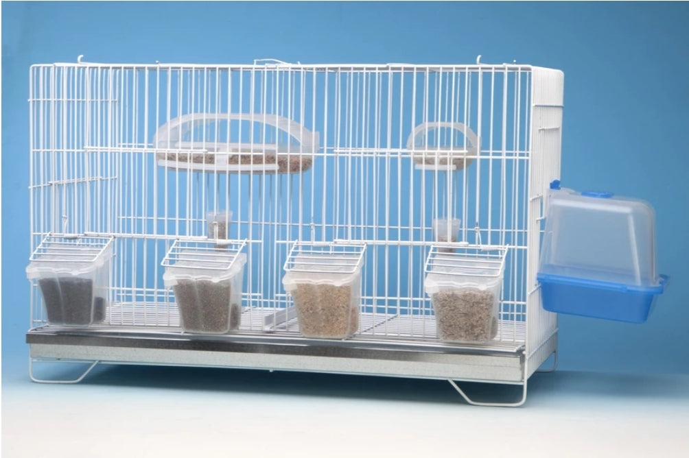 Vliegende Feeder - Moldes Ave