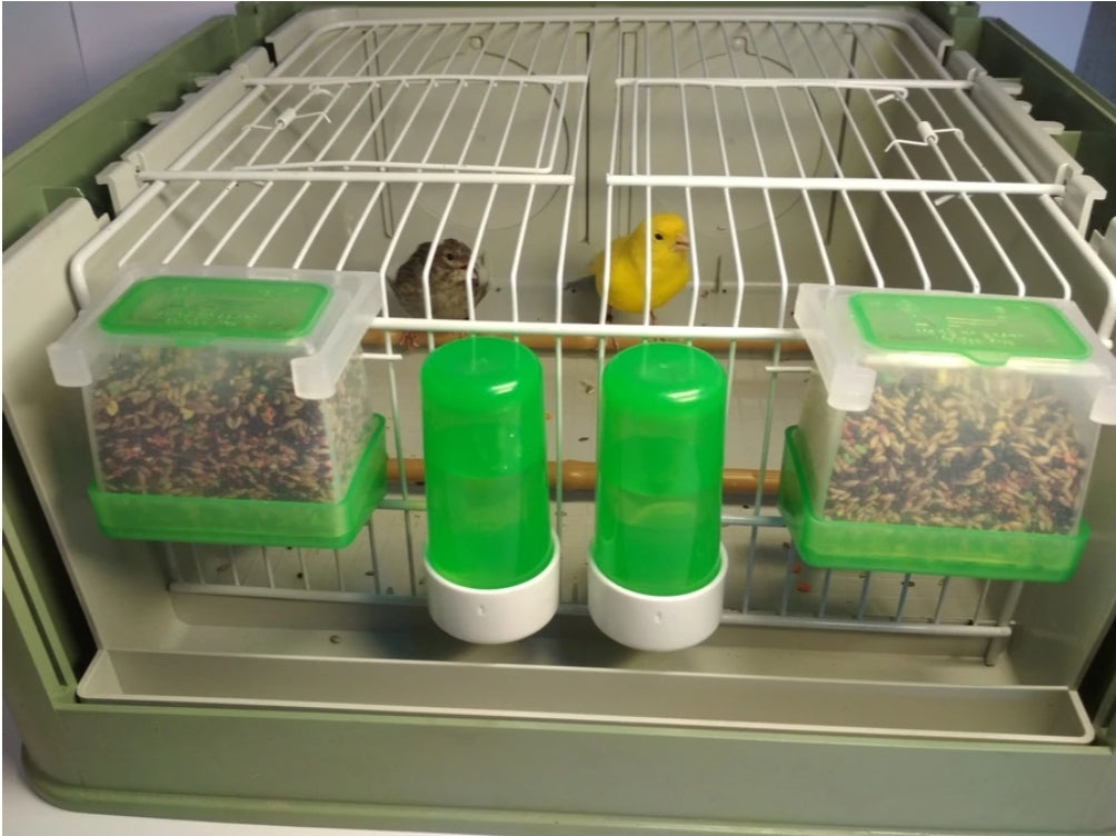 Drinkfontein ( groen ) anti-verspilling systeem 80ml - Moldes Ave