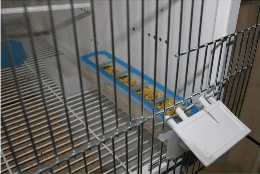 Combo Pakket, - Cupe, - Apollo Feeder