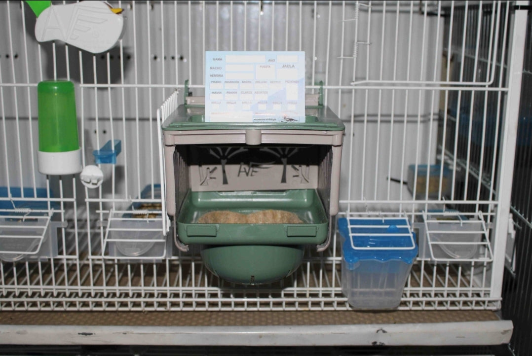 Dubai Nest 8cm - Moldes Ave