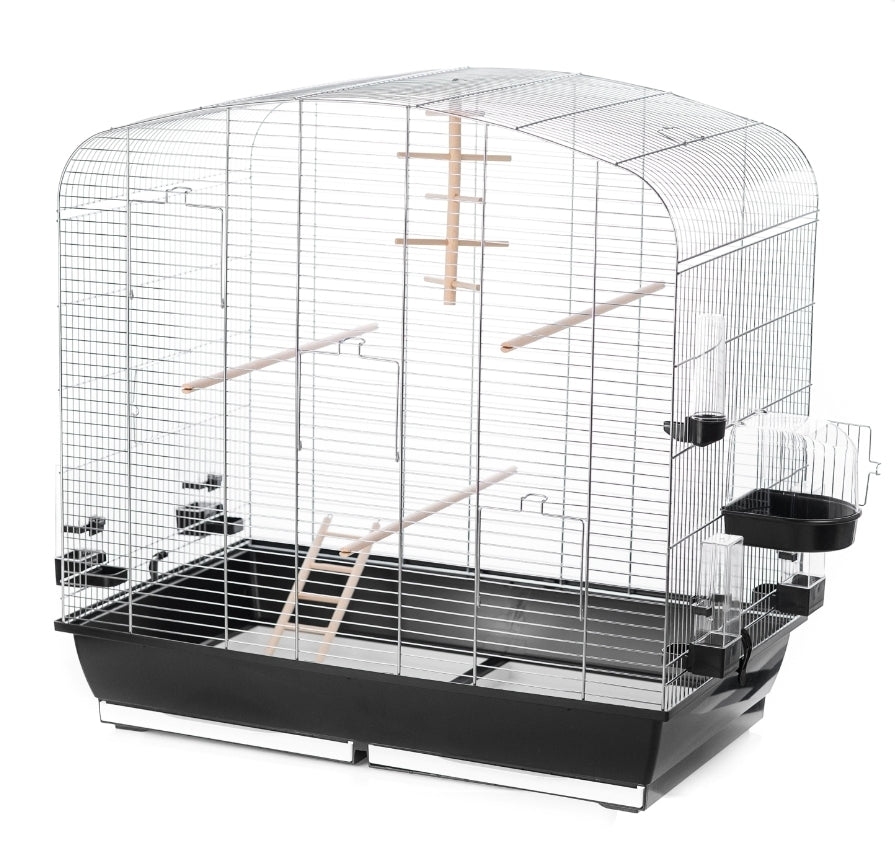 Parkieten Kooi Saga 78 x 47,5 80/100