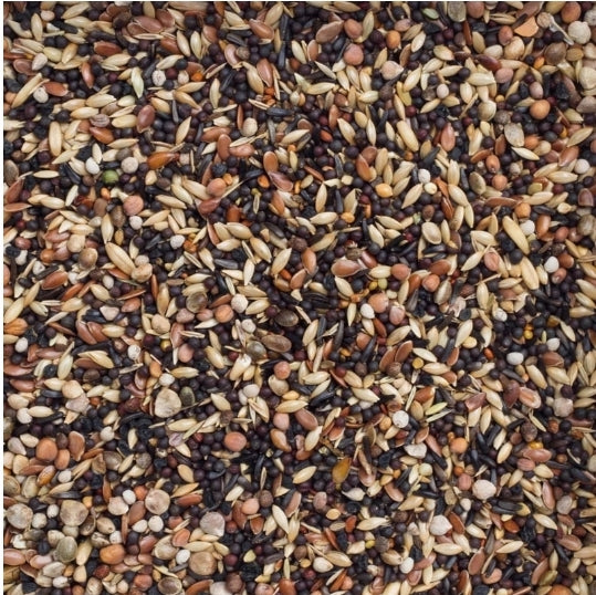 Deli Nature 99 Europese Vogels Basis
20kg