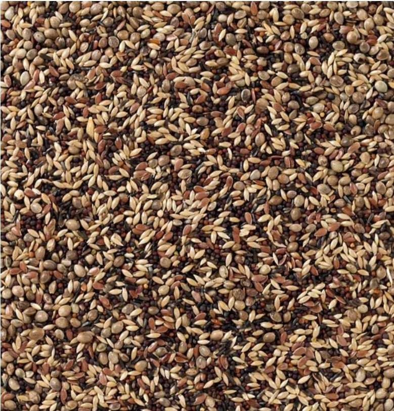 Deli Nature 48 Sijsjes en Distelvinken 20kg