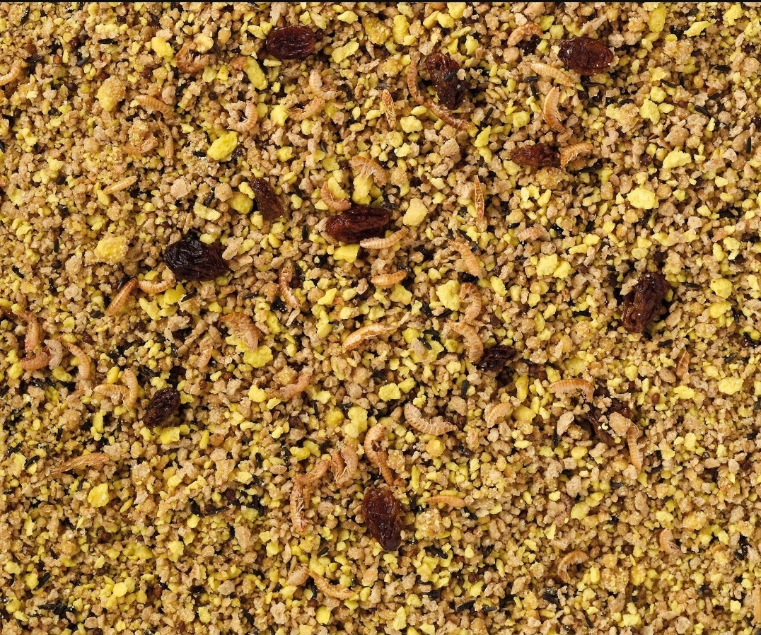 Deli Nature Eivoer Patee Grote Parkieten en Papegaaien Vet 10kg