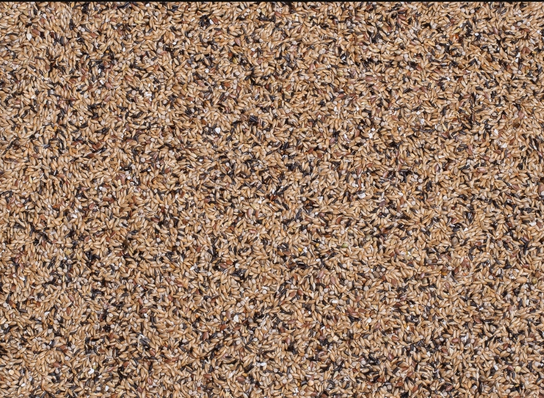 Deli Nature 52 - Kanarie Kweek - 20kg