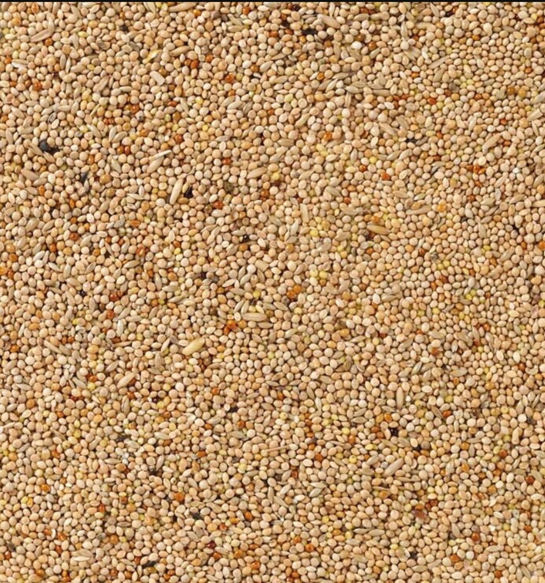 Deli Nature 51 Parkieten Basis 20kg