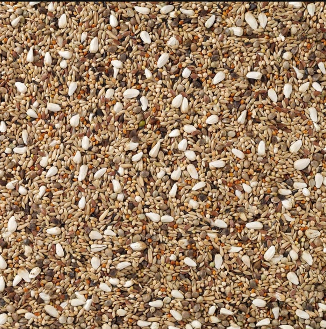 Deli Nature 72 Agapornide Champion 20kg