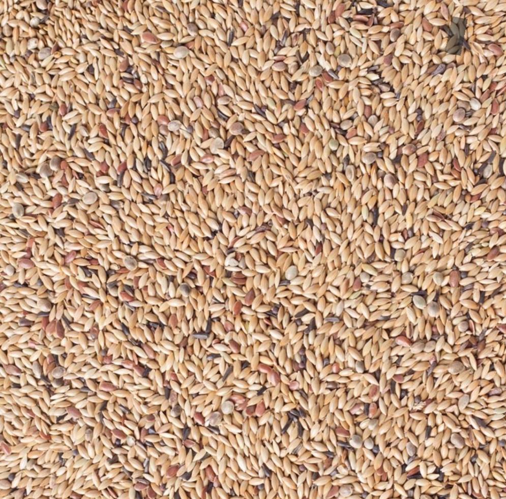 Deli Nature 81 Kanarie Light Zonder Raapzaad 20kg