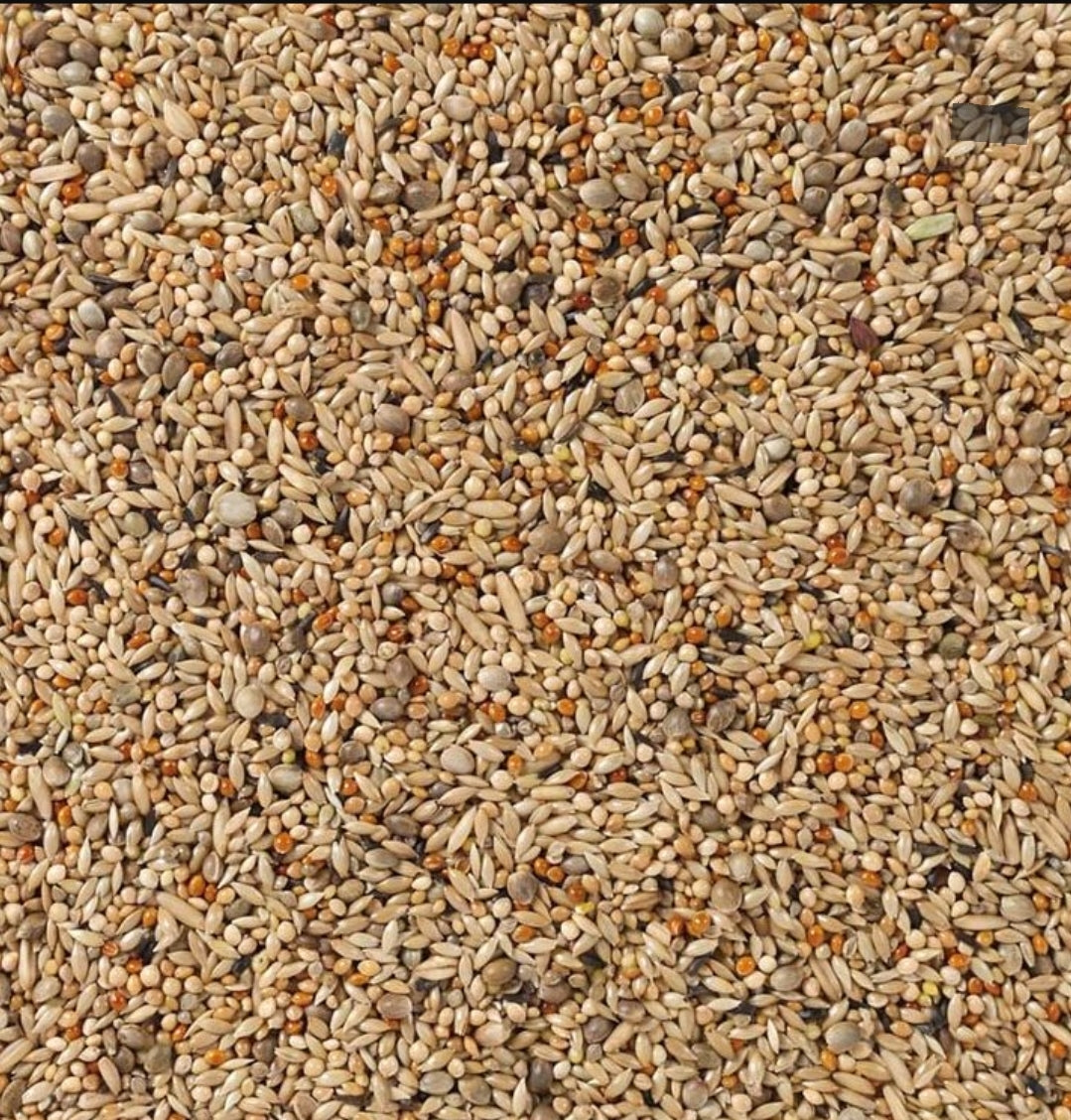 Deli Nature 67 Parkieten Kweek 20kg