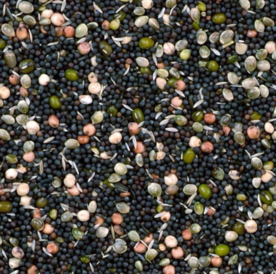 Kiemzaad Mix 20kg Duvo+