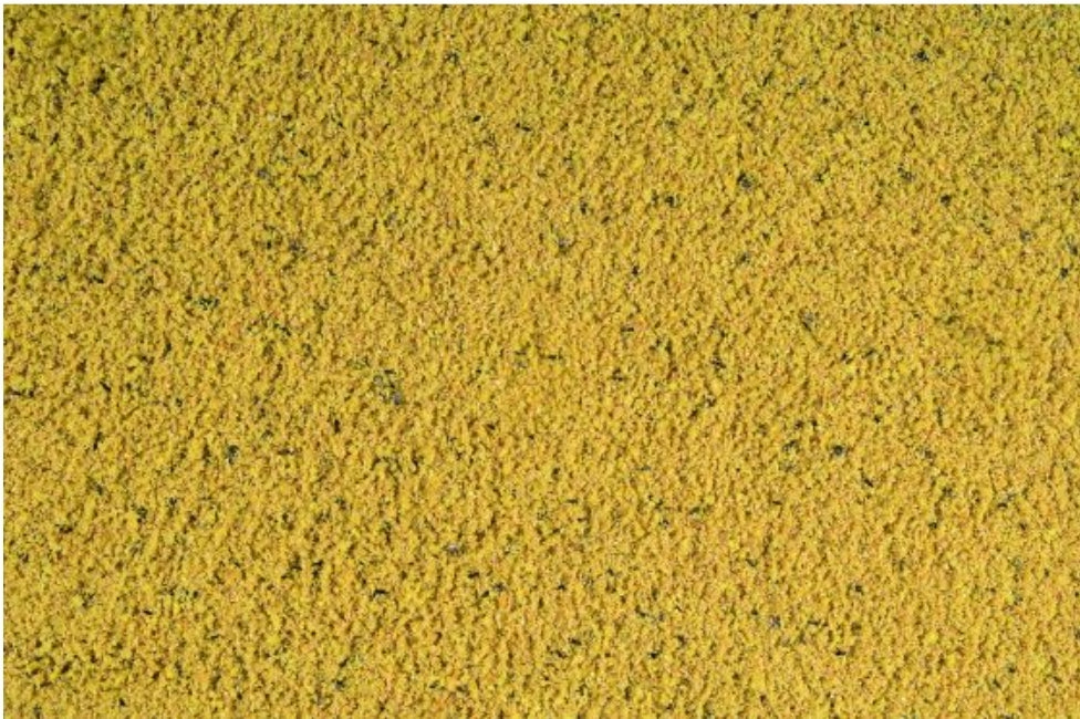 Profi gold patee kanarie 25kg - Orlux