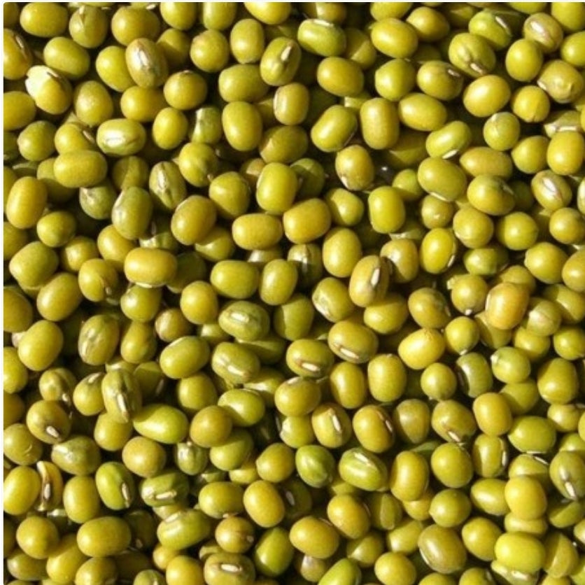 Katjang Idjoe ( groene mungbonen ) 5kg