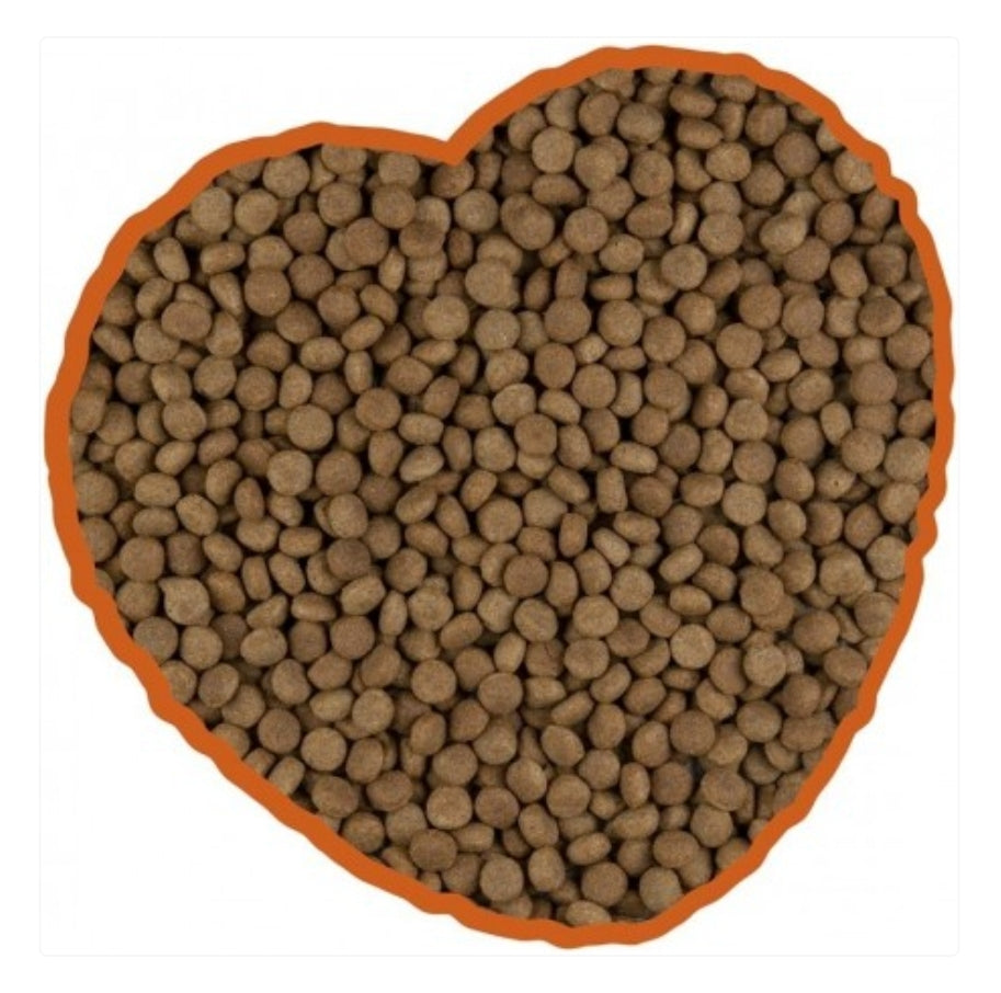 Normaal Menu Hond 14kg | Duvo+